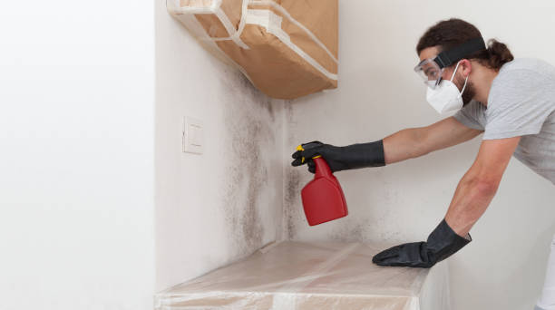 Professional Attic Mold Remediation technician working in Fairview, OR