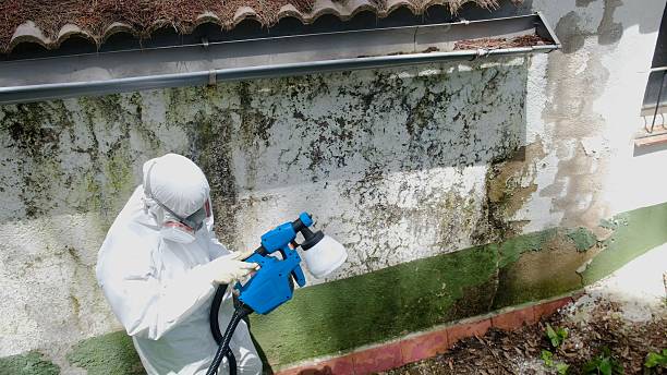 Top rated local Attic Mold Remediation specialists in Fairview, OR
